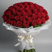Букет 101 Красная роза Блэк Мэджик в Исаково