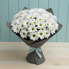 Букет цветов из:  Хризантемы #REPLACE_PRED# Исаково