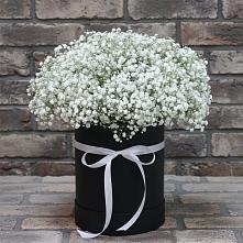 Цветочная композиция из Гипсофила в шляпной коробке в Исаково